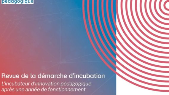 Revue de la démarche d'incubation : L'incubateur d'innovation pédagogique après une année de fonctionnement.